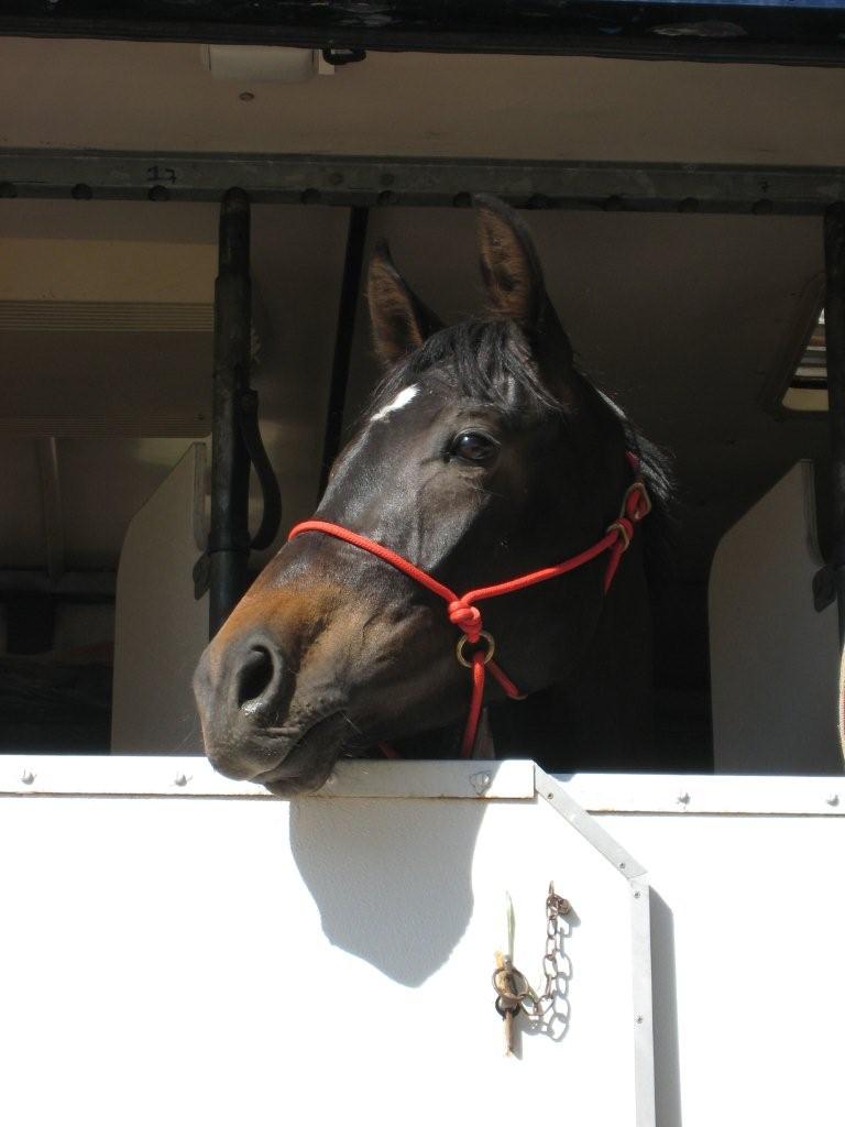 Ciaran looks out of  van