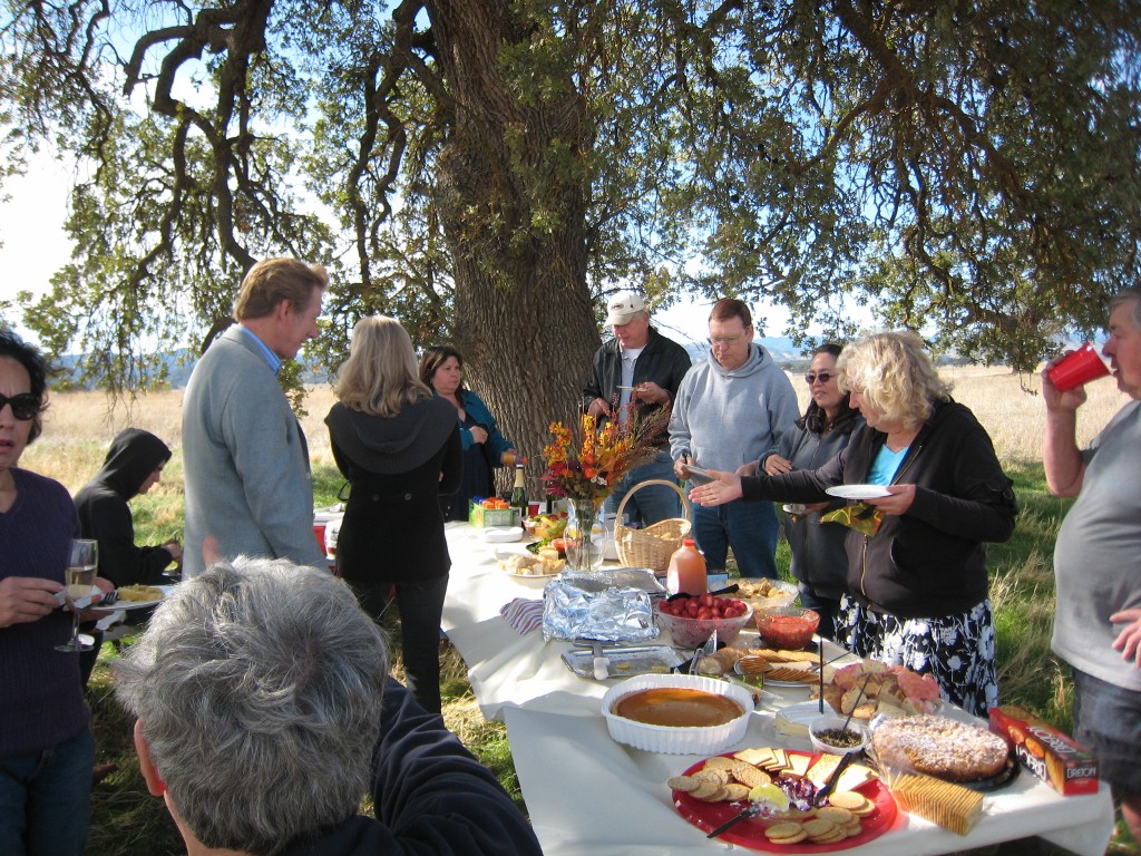 Food, wine and friends under the oaks